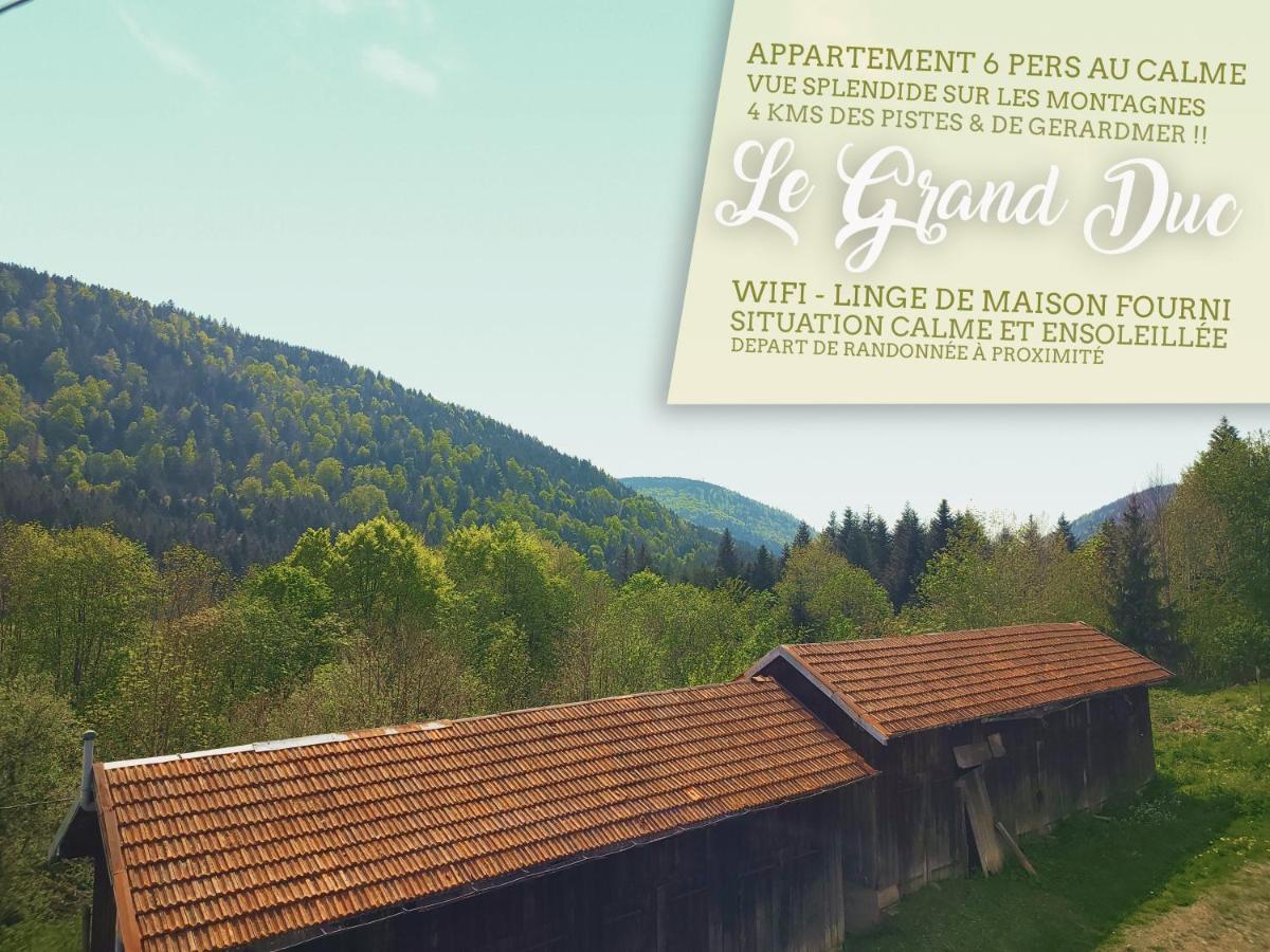 ⁂⁂ Le Grand Duc Appartement Cledicihome / Magnifique Vue Sur Les Montagnes / 4 Kms De Gerardmer ! ⁂⁂ Rochesson エクステリア 写真