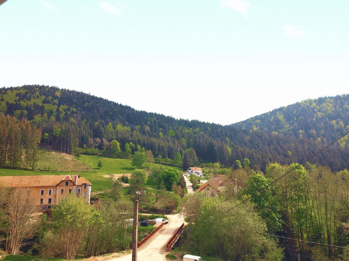 ⁂⁂ Le Grand Duc Appartement Cledicihome / Magnifique Vue Sur Les Montagnes / 4 Kms De Gerardmer ! ⁂⁂ Rochesson エクステリア 写真